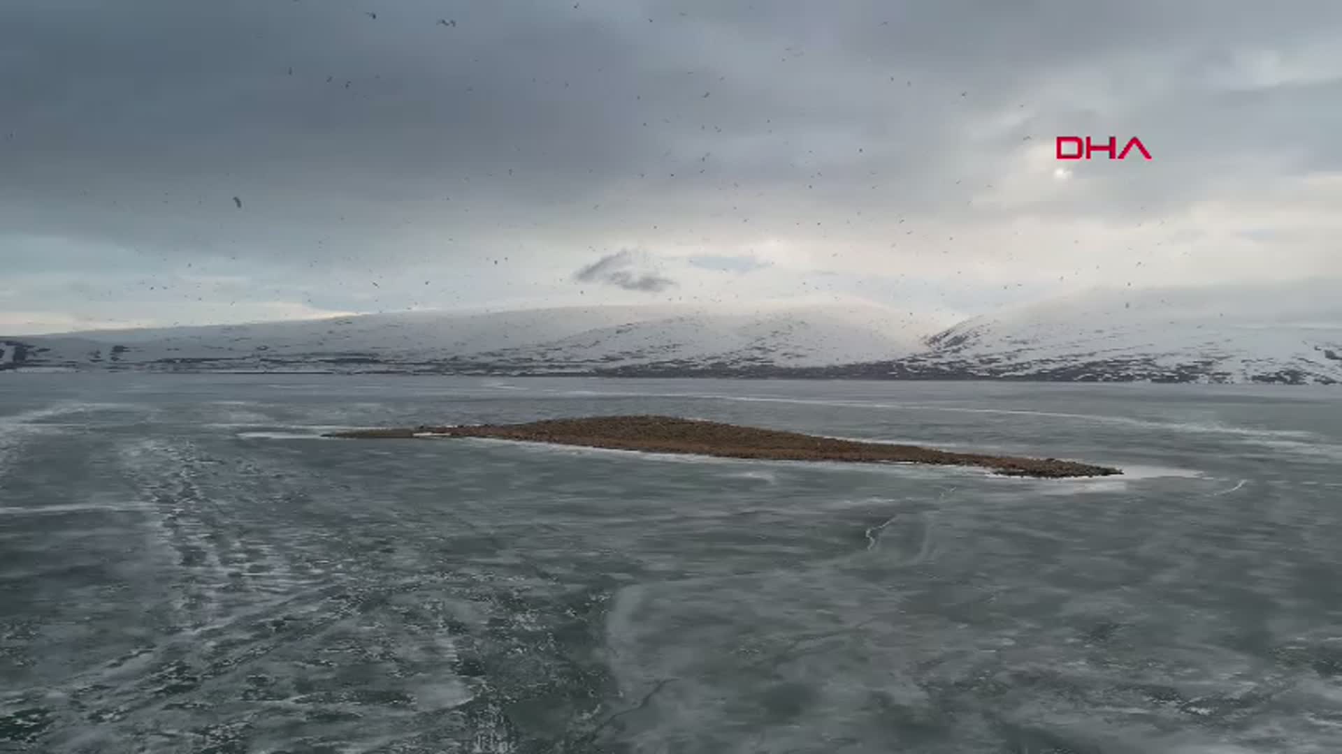 Kars-Çıldır Gölü İlkbaharda Kuş Cennetine Dönüştü: Göçmen Kuşlar Akın Etti