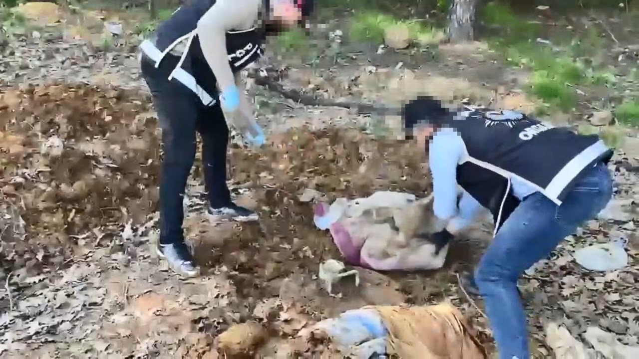 Pendik'te Toprak Altında Devasa Silah Parçası Deposu: Binlerce Parça Ele Geçirildi