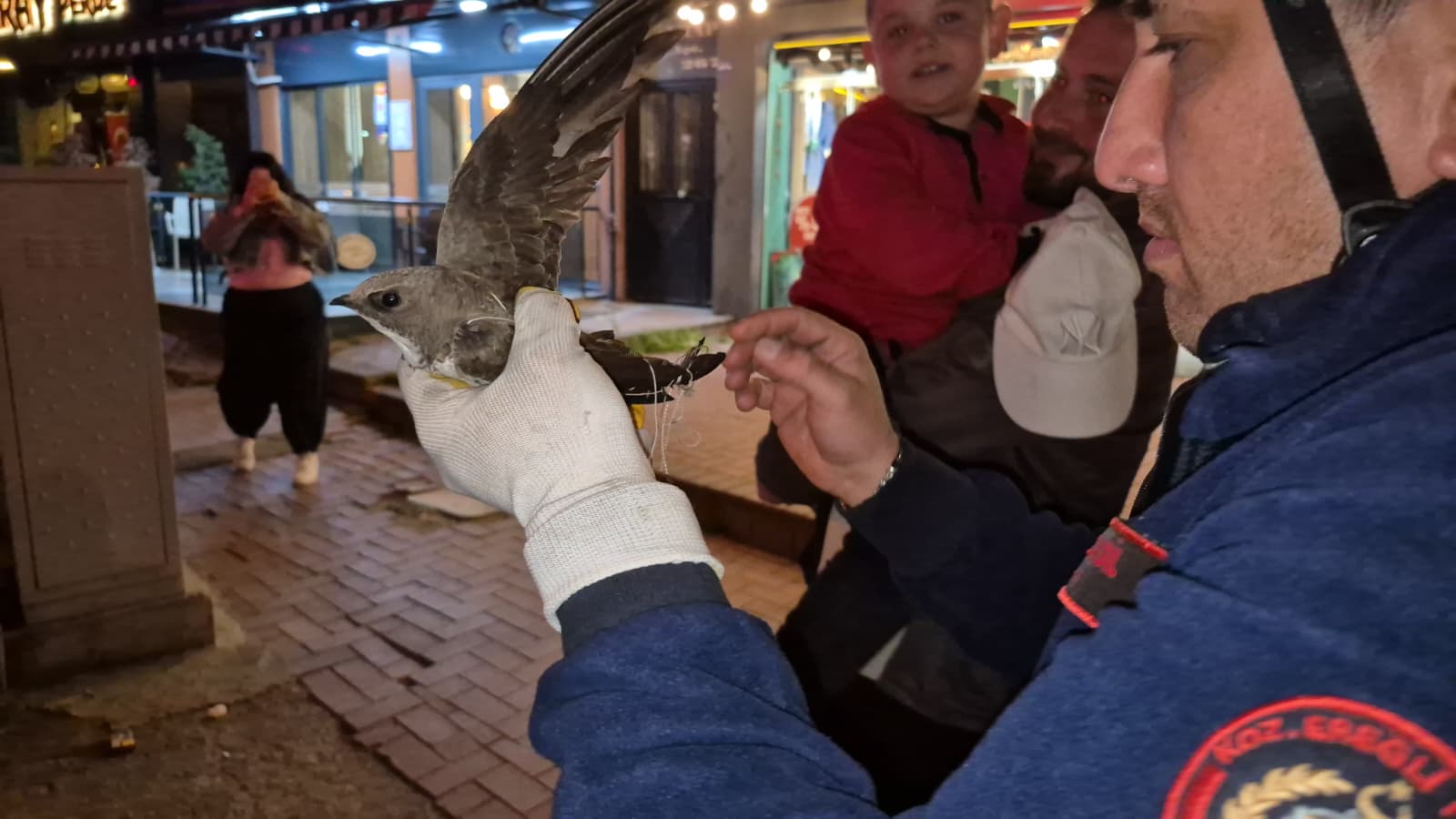 Ereğli'de Nefes Kesen Kurtarma: Boynuna İp Dolan Ebabil, Caddeyi Trafiğe Kapattırdı