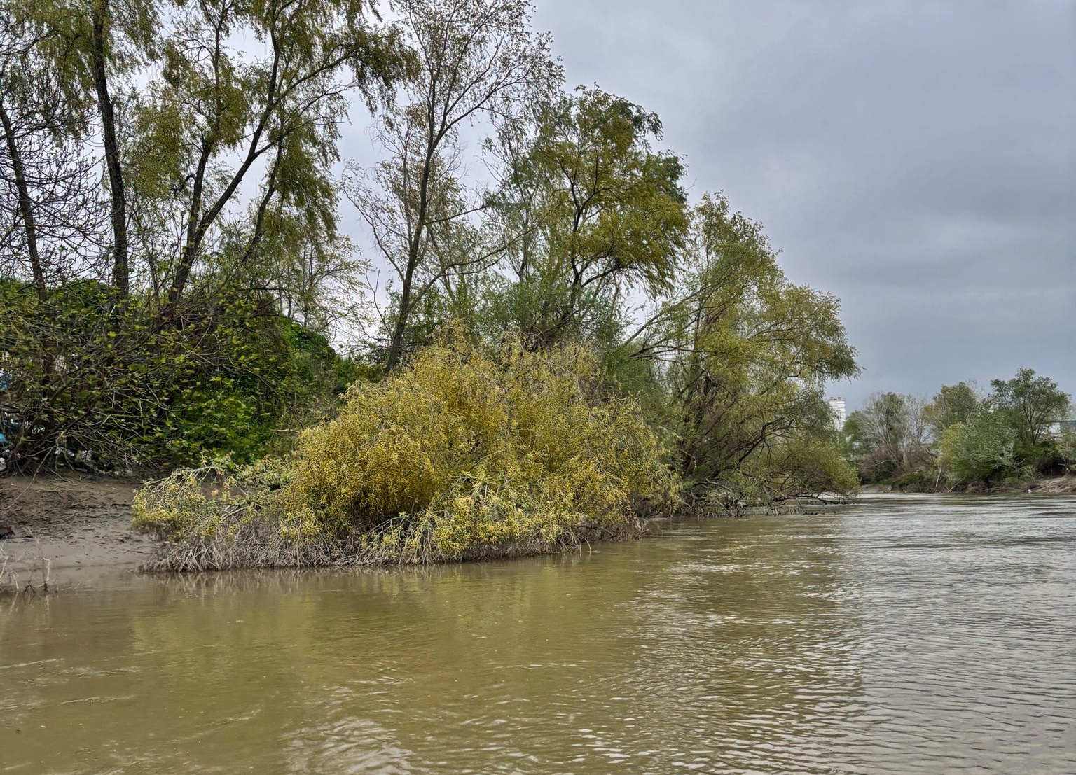 Sakarya Nehri'nde Kaybolan 10 Yaşındaki Ahmet'ten 7 Gündür Haber Yok