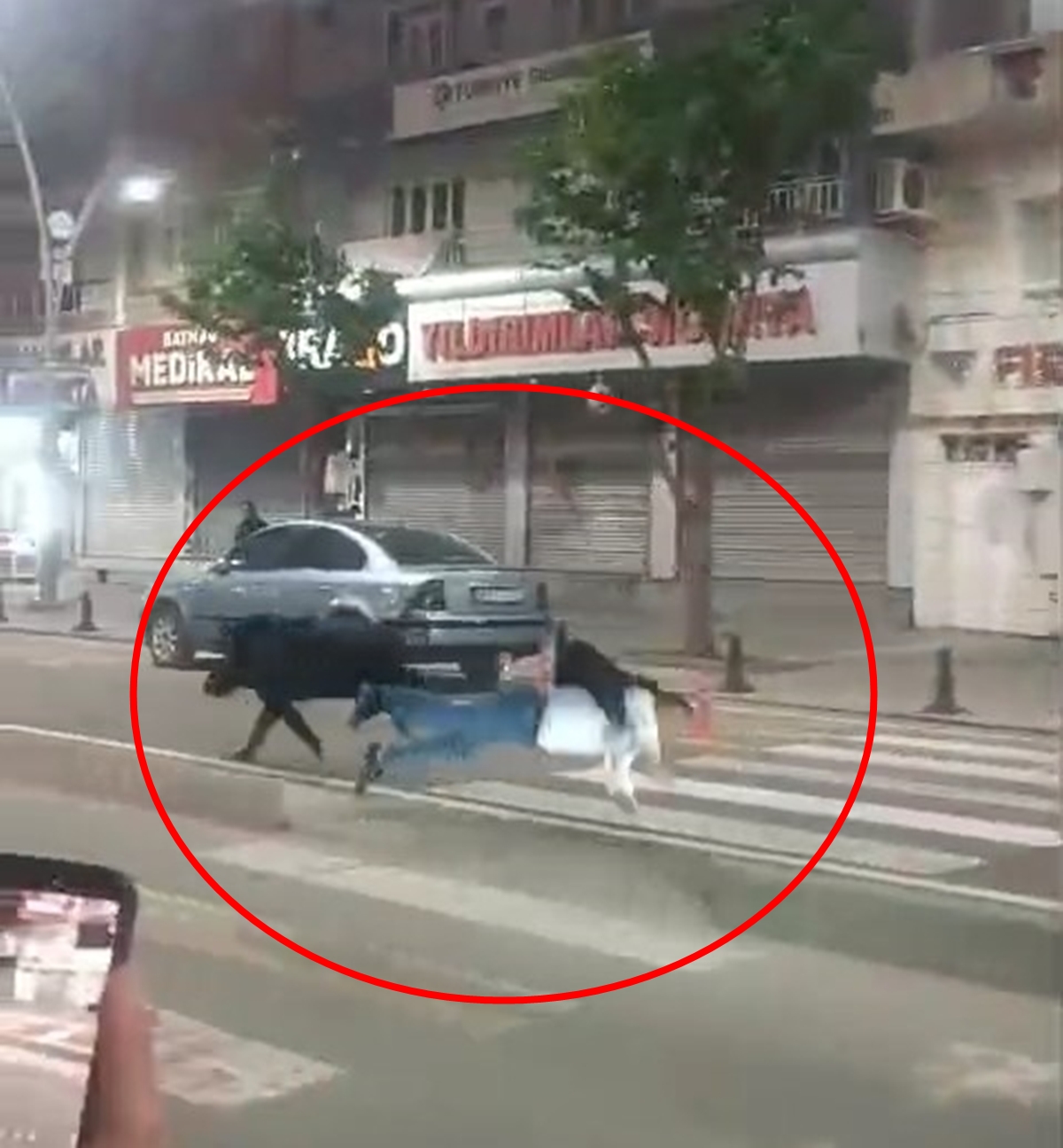 Batman'da Yaban Domuzu Paniği: Kent Merkezine İndi, 3 Kişiyi Yaraladı