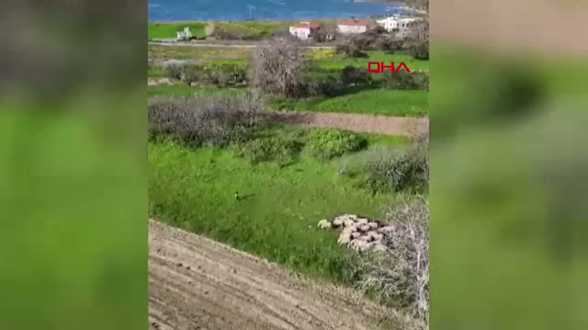 Çanakkale'den Geleceğe Miras: 'Boğazın Minik Çobanları' Projesi Başlıyor!