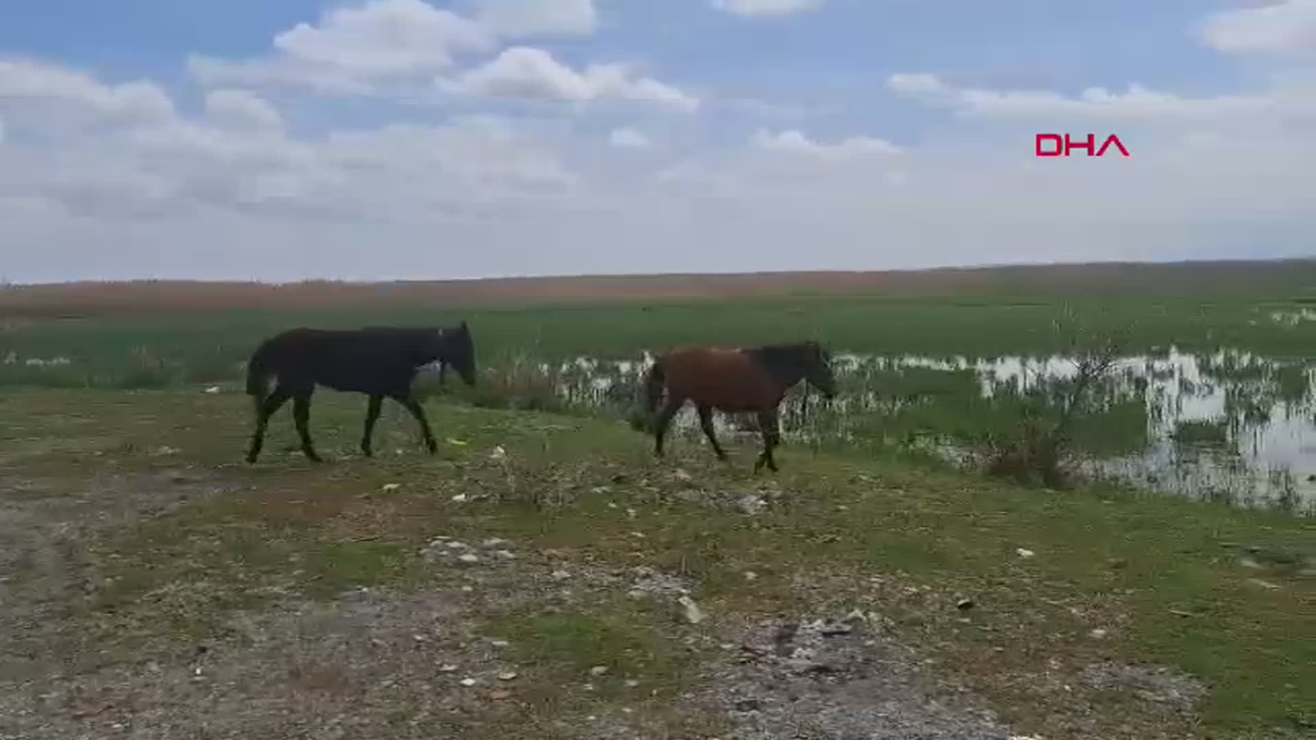 8 Yıllık Kuraklık Bitti! Akşehir Gölü Yeniden Hayat Buluyor