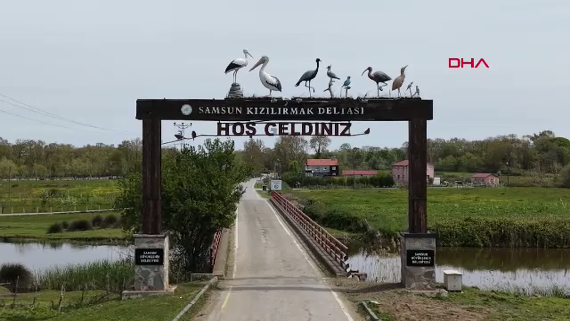 Samsun'un Saklı Hazinesi Kızılırmak Deltası'nda Büyüleyici Bahar Manzaraları: Su Papatyaları Görsel Şölen Sunuyor