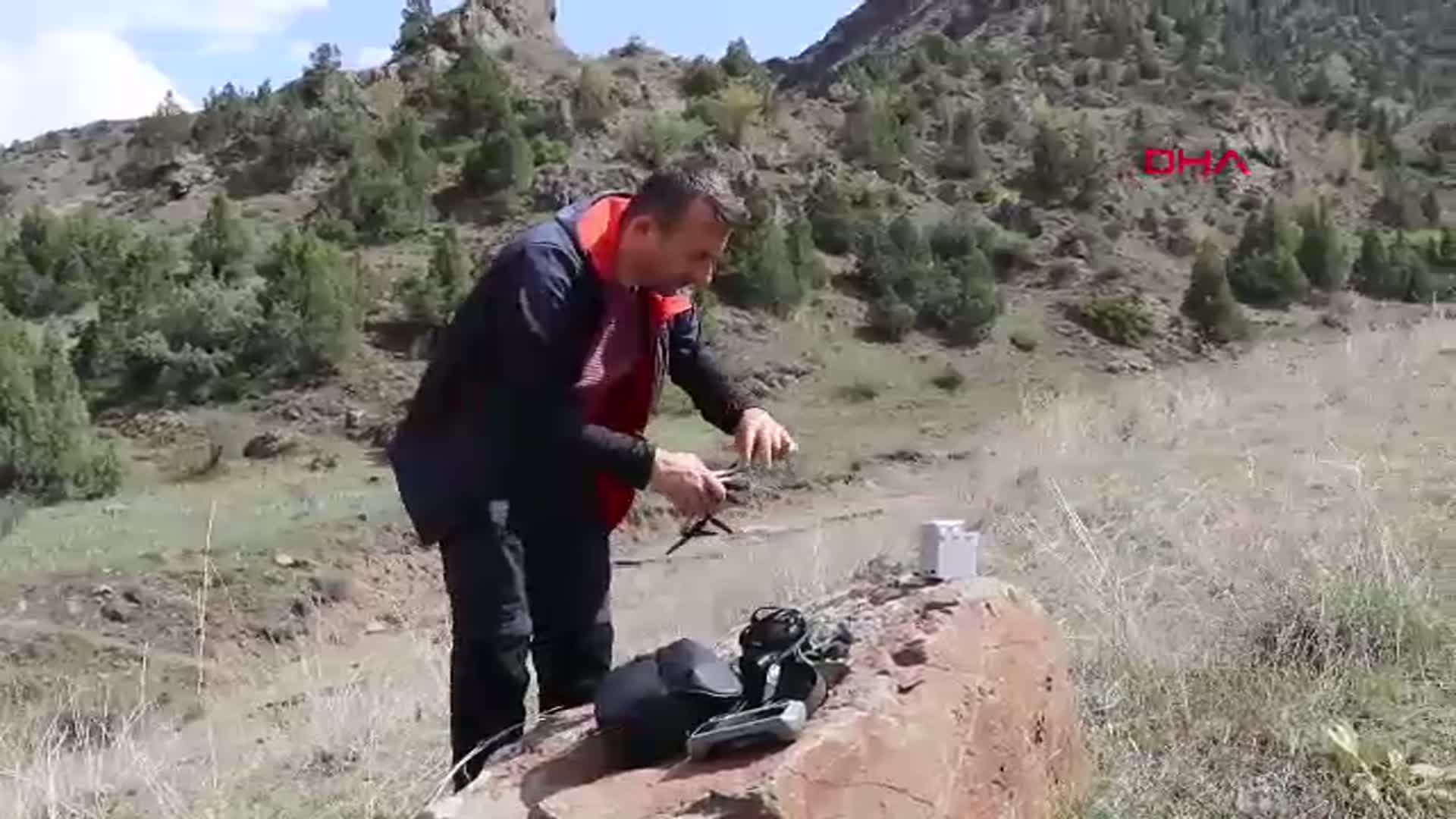 Erzurum Oltu'da Nadir Görülen Vaşak Dronla Görüntülendi