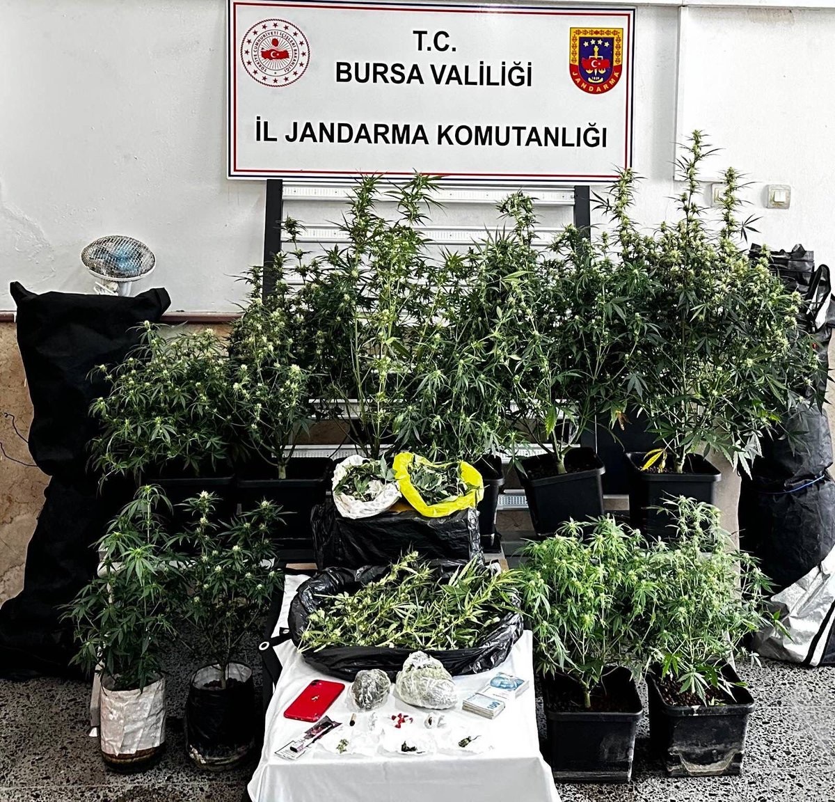 Bursa'da Nefes Kesen Uyuşturucu Operasyonu: 2 Kilo Esrar, 10 Kök Skunk ve Çok Sayıda Uyuşturucu Madde Ele Geçirildi