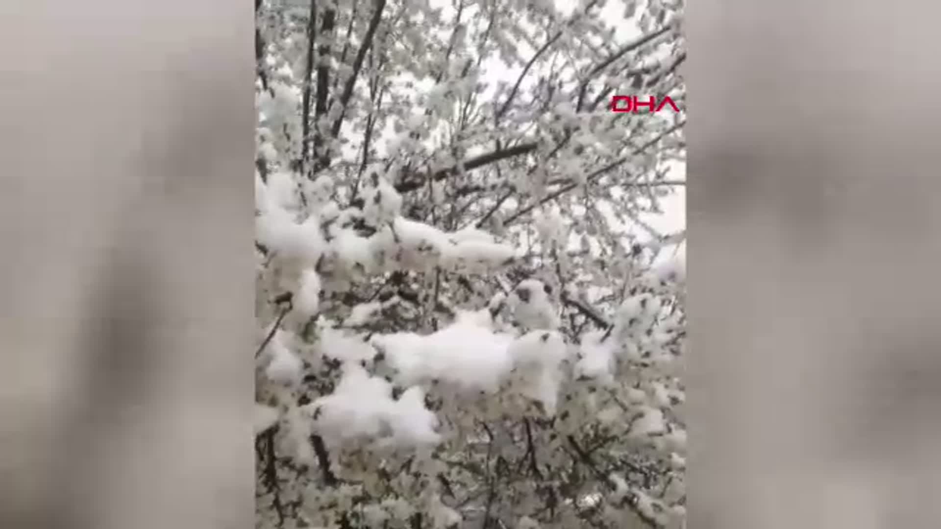 Sivas'ın Yüksekleri Beyaza Büründü: Kar Yağışı Etkili Oldu