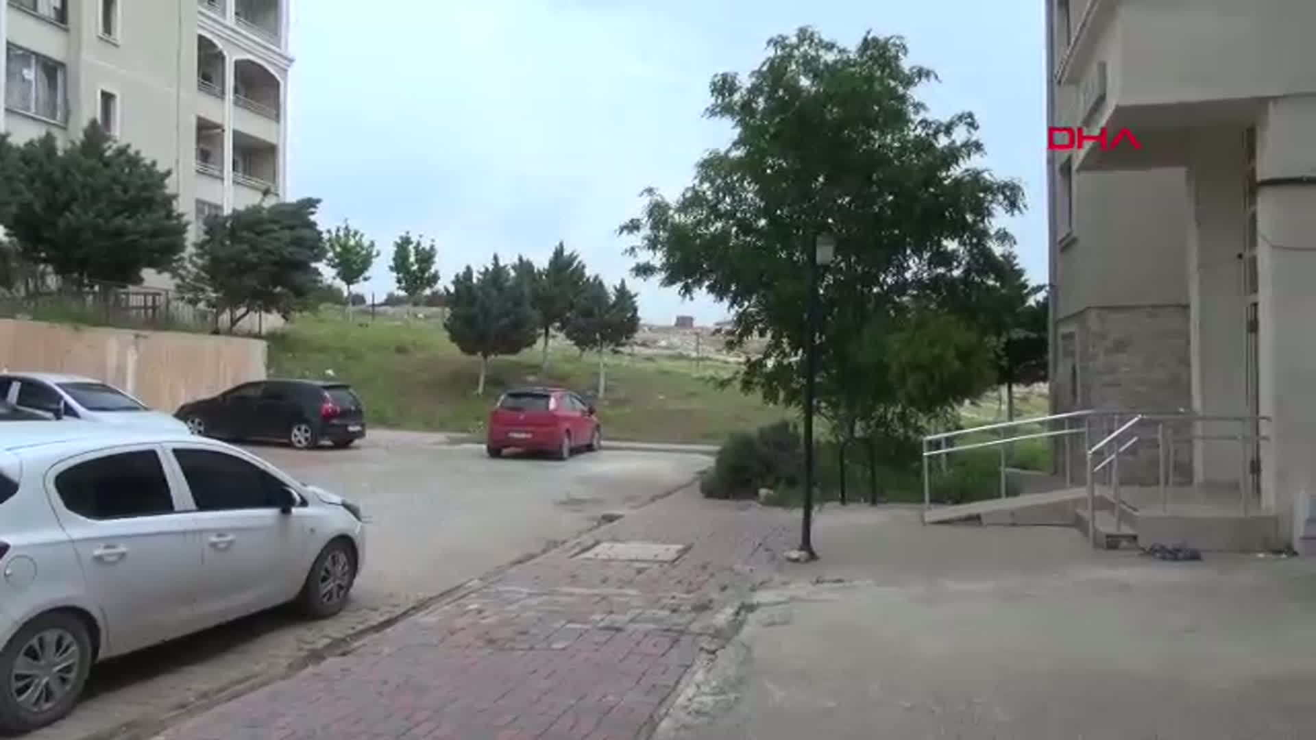 Hatay'da Köpek Kovalamacasında Korkunç Son: Küçük Kız Düşerek Yaralandı