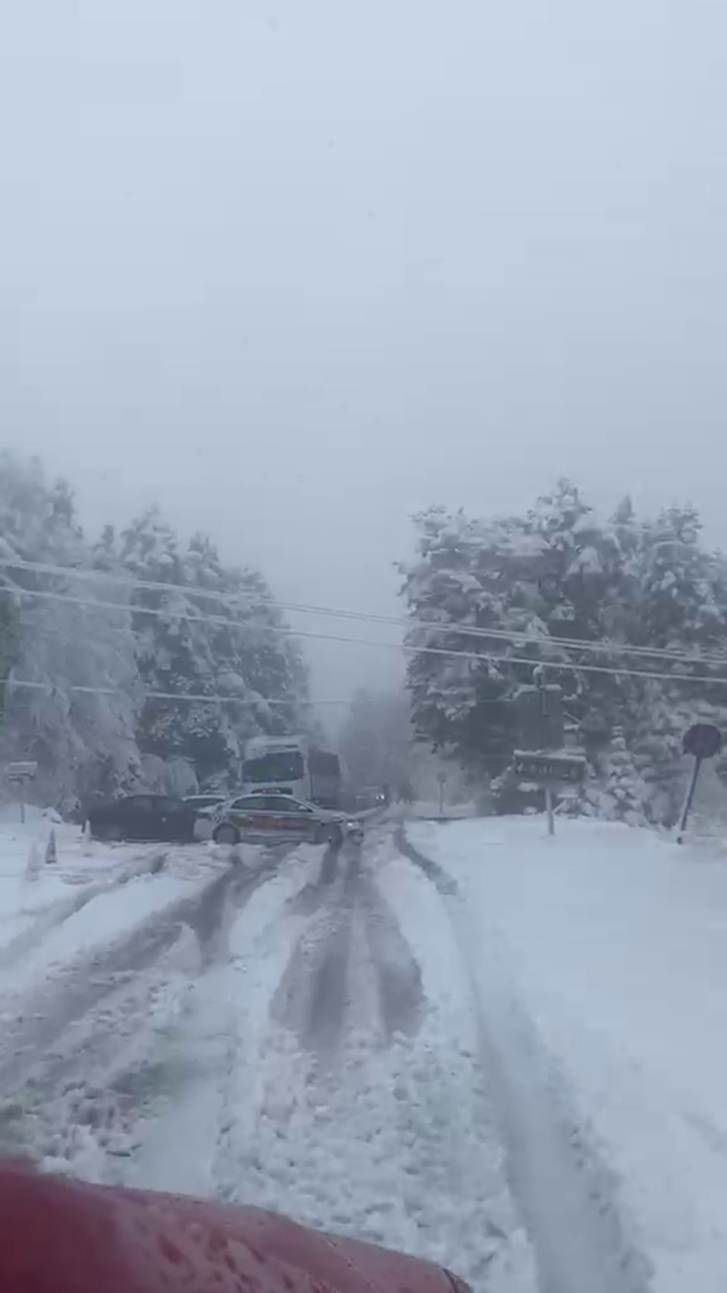 Bolu Dağı Beyaza Büründü: Devrilen Ağaçlar Yolu Ulaşıma Kapattı