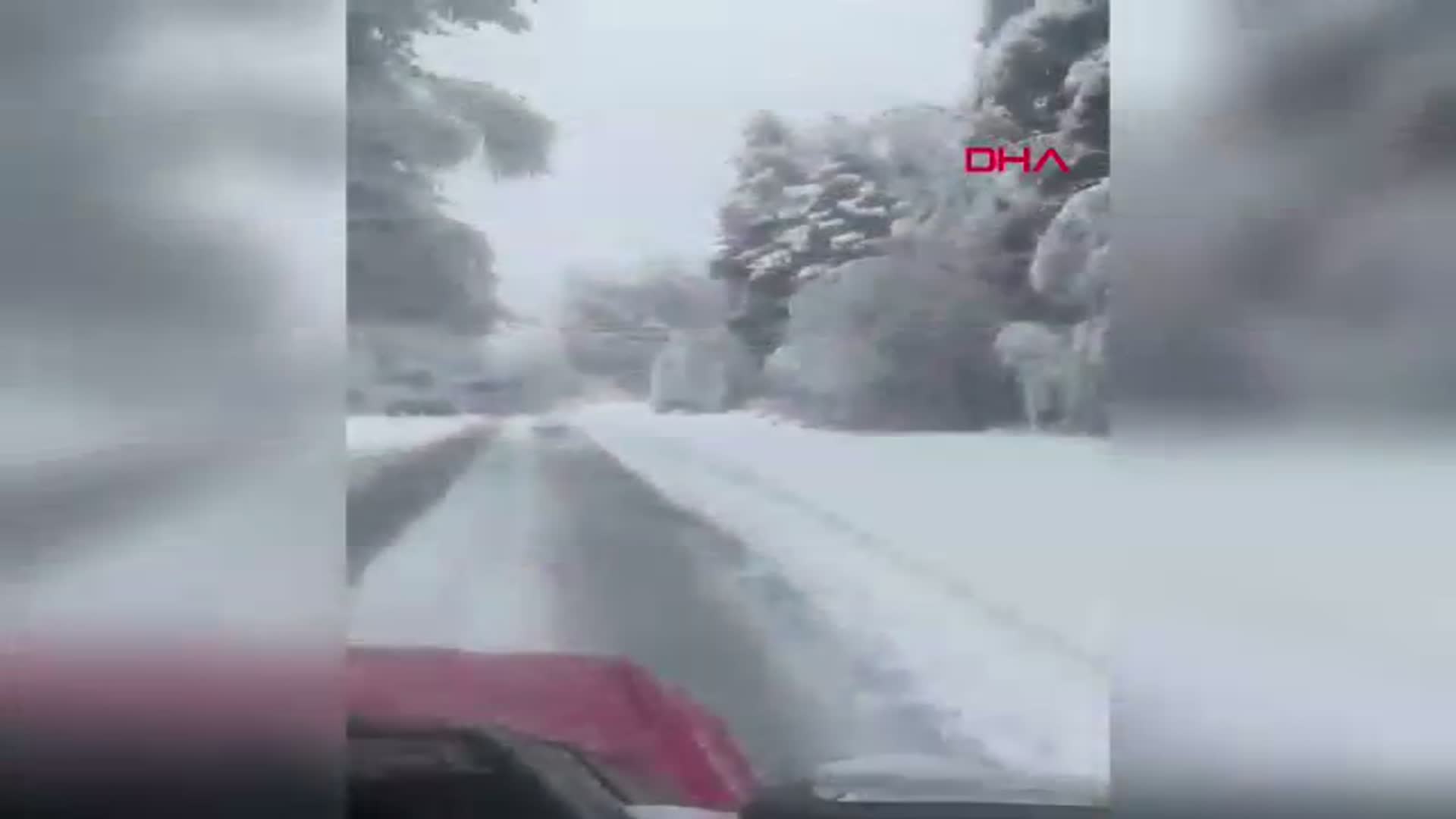 Bolu Dağı'nda Lodos Fırtınası Ağaçları Devirdi, Yollar Kapandı