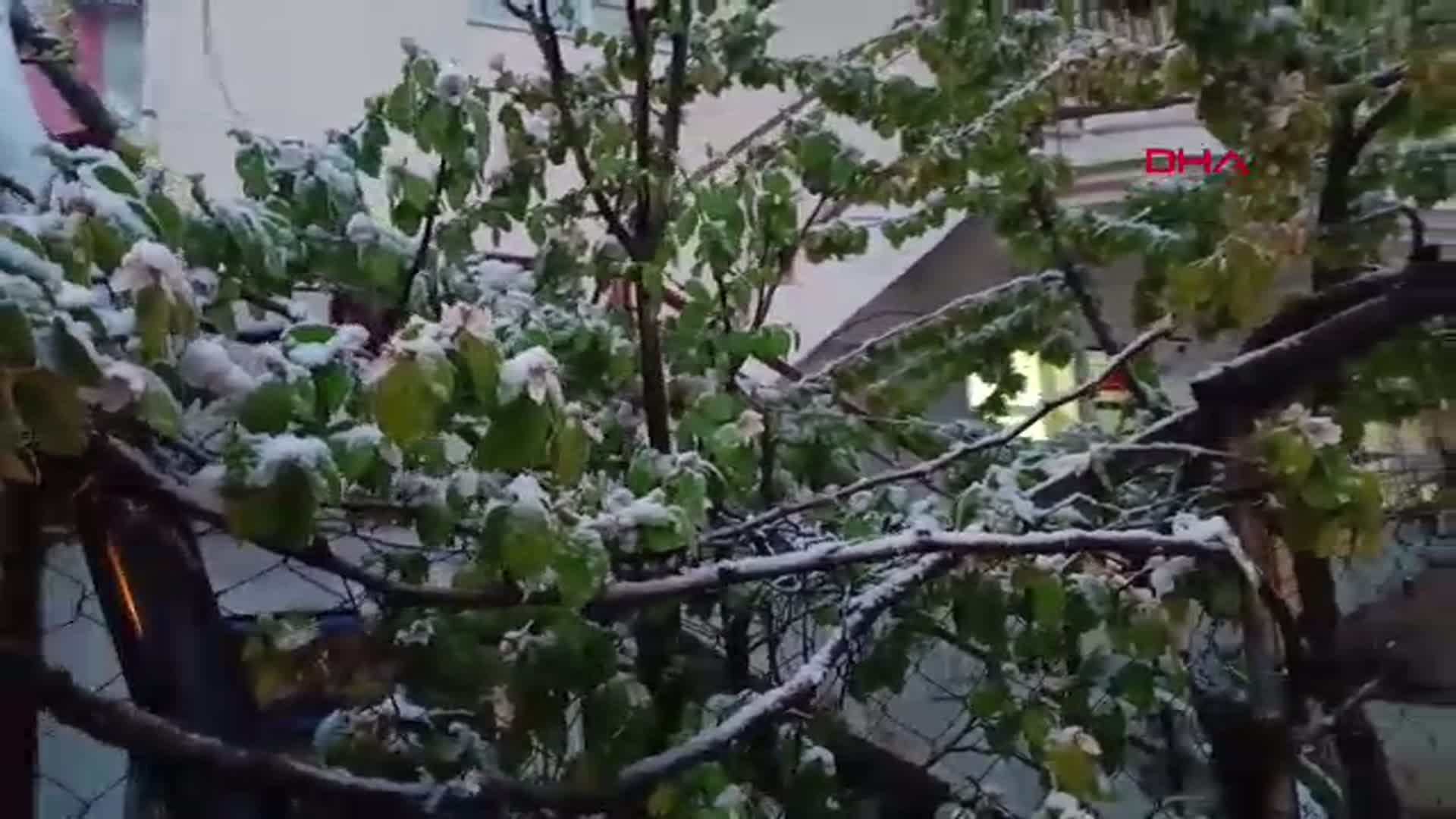 Burdur'da Baharı Vuran Kar: Ağaçlar Beyaza Büründü, Üreticiler Endişeli