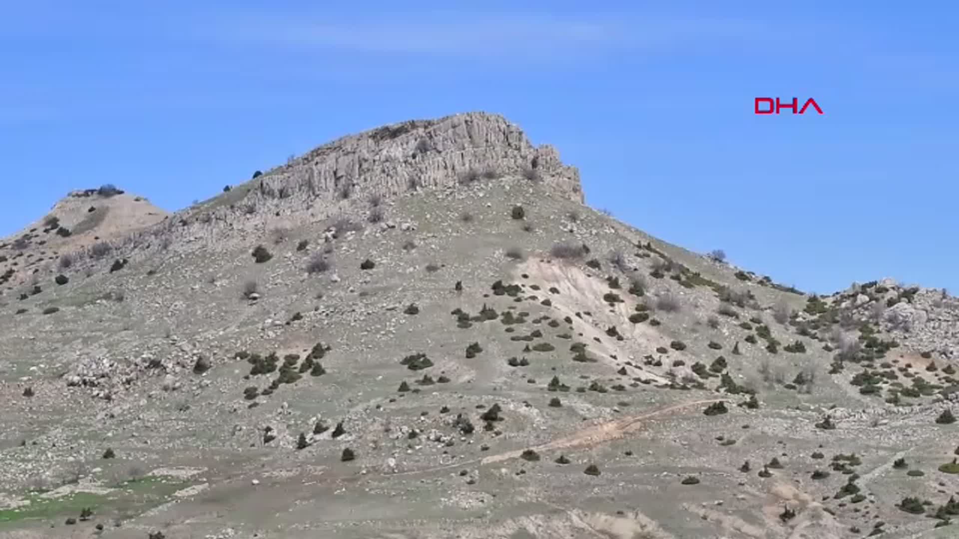 Diyarbakır'da Keşfedilen Yeni Ters Lale Türüne 'Berçem' Adı Verildi: 'Fritillaria bercemiae' Bilim Dünyasına Tanıtıldı