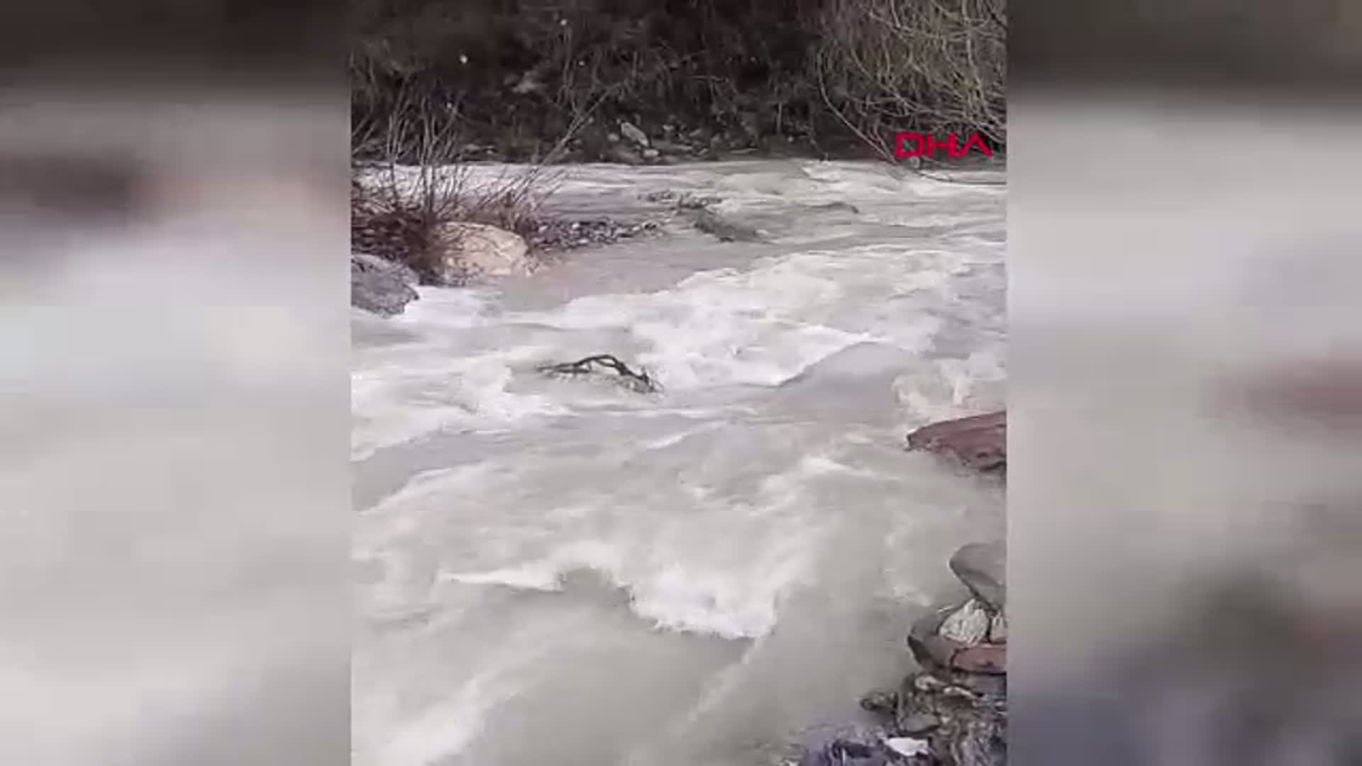 Afyonkarahisar'da Hasret Bitti: Çay Deresi 5 Yıl Sonra Yeniden Hayat Buldu