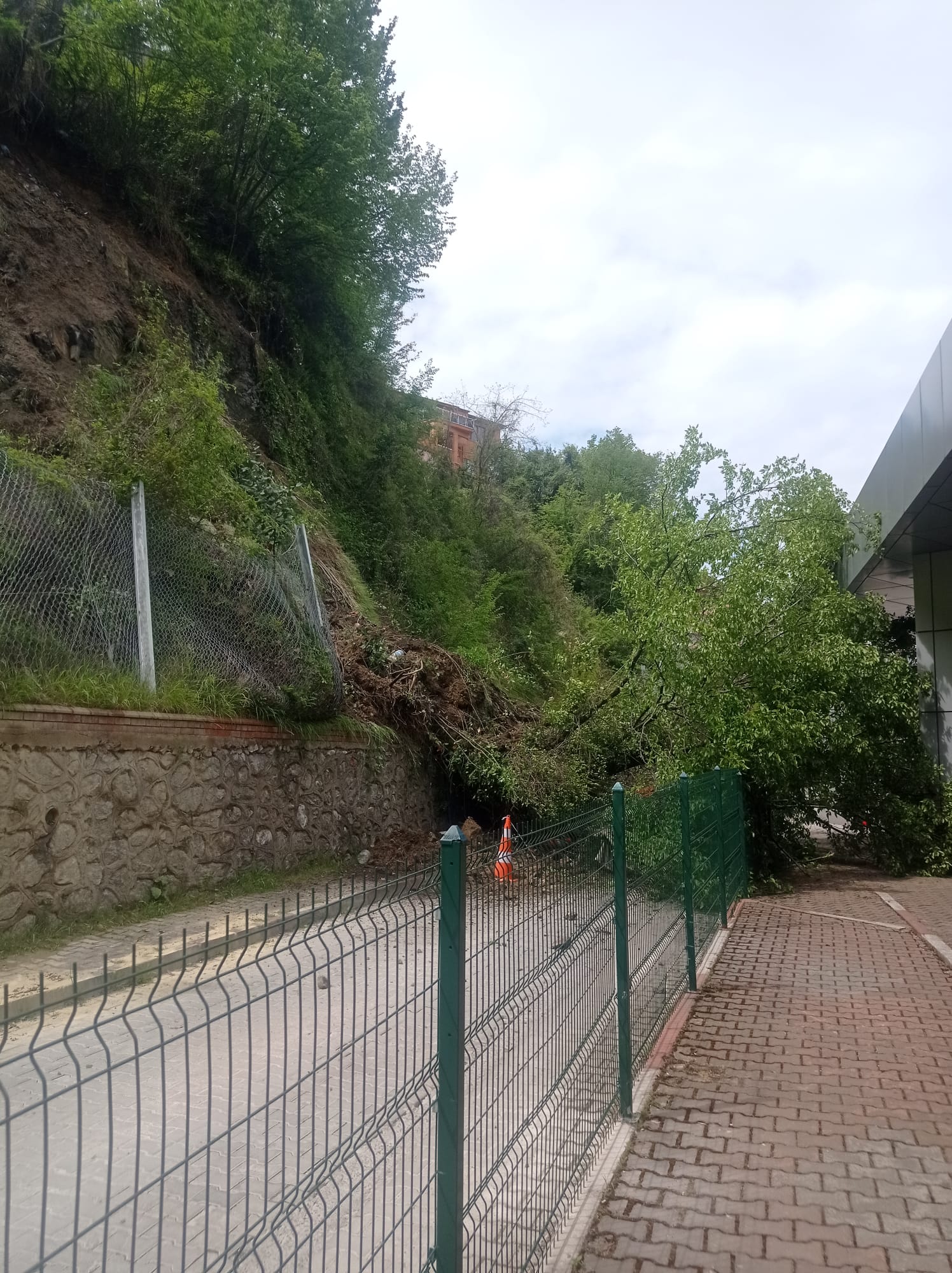 Zonguldak Otobüs Terminalinde Heyelan Paniği: Ağaç Peronlara Devrildi