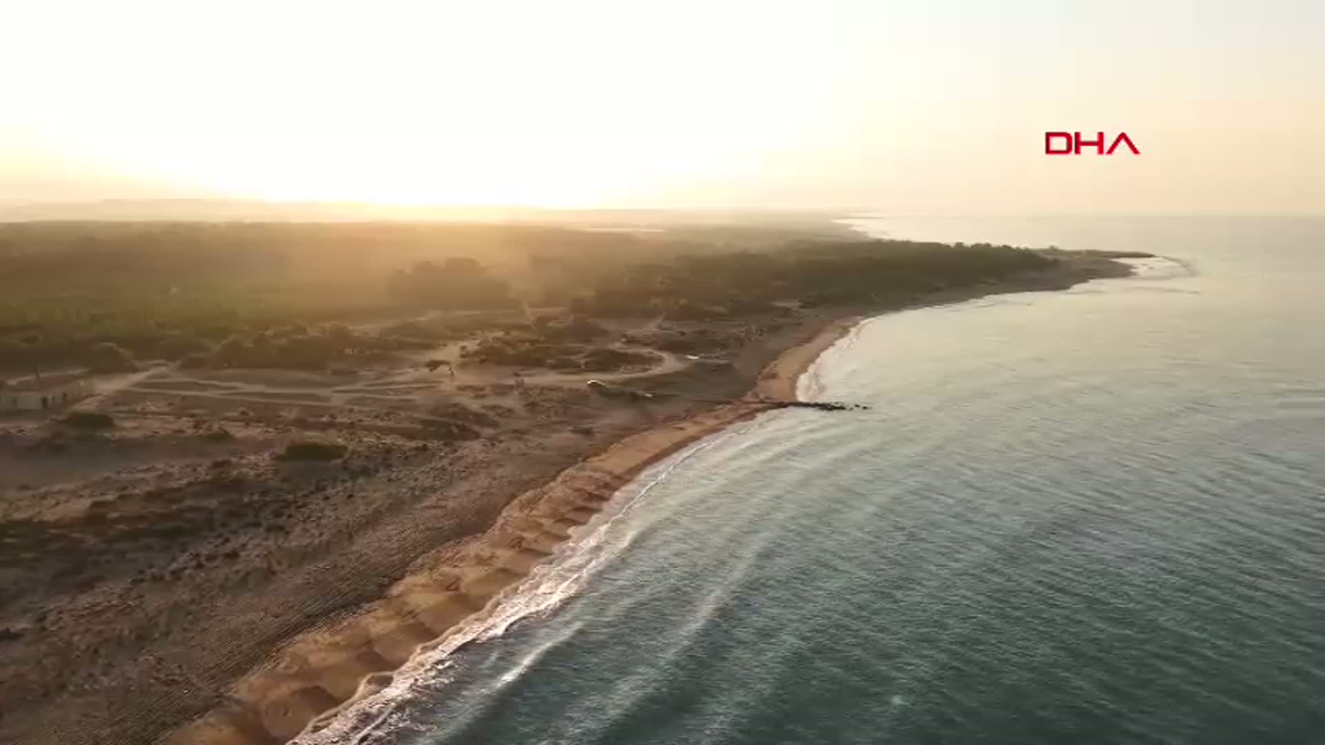 Caretta Caretta'lar Antalya Belek'te Yuvalama Sezonunu Açtı: İlk Yuva Kaydedildi!