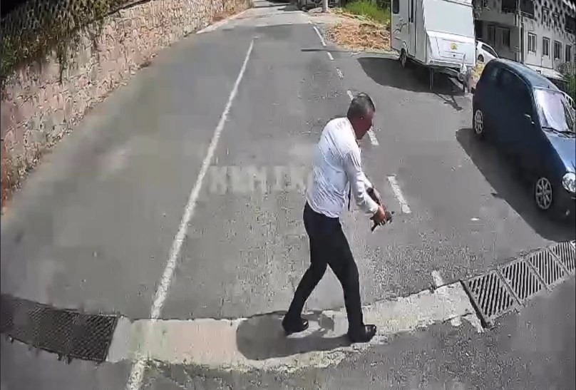 Cesur Otobüs Şoförü Hayat Kurtardı: Kaplumbağa Yol Ortasında Ezilmekten Son Anda Kurtuldu!