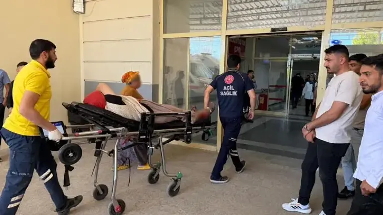 Yılana Ateş Etti Seken Saçmalar 5 Kişiyi Yaraladı