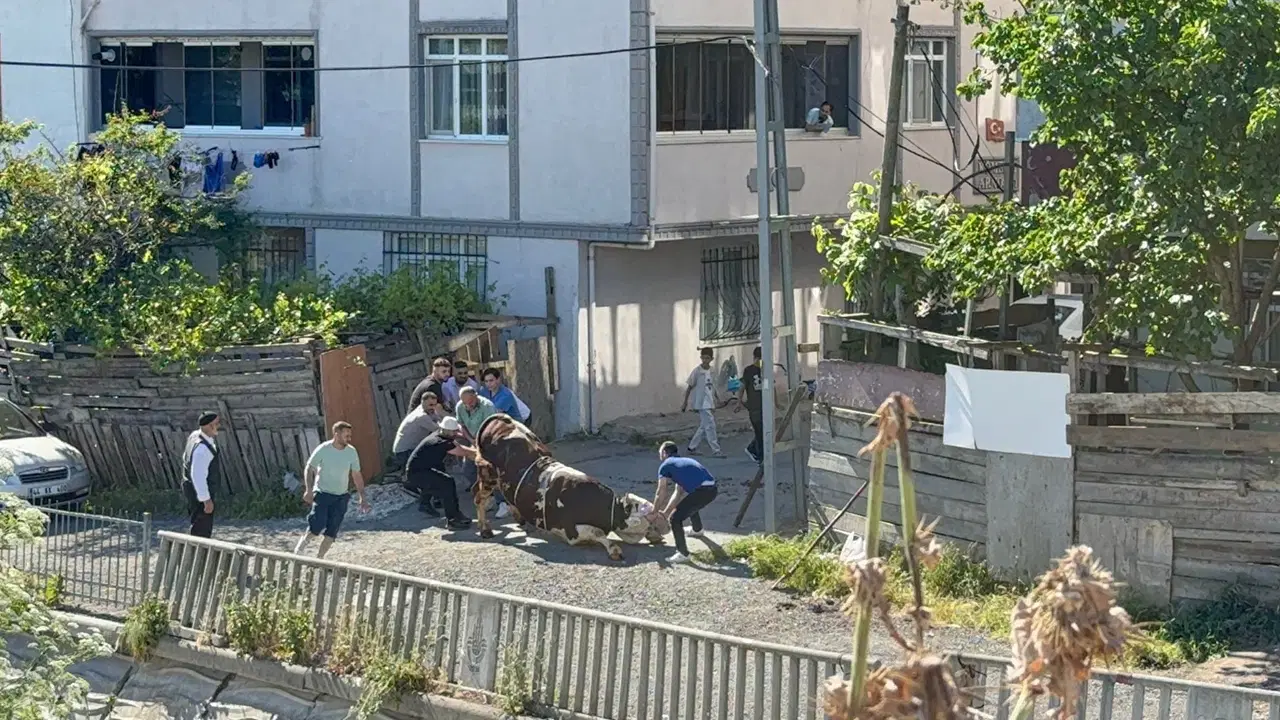 Esenyurt Sokaklarında Uygunsuz Koşullarda Kurban Kesildi
