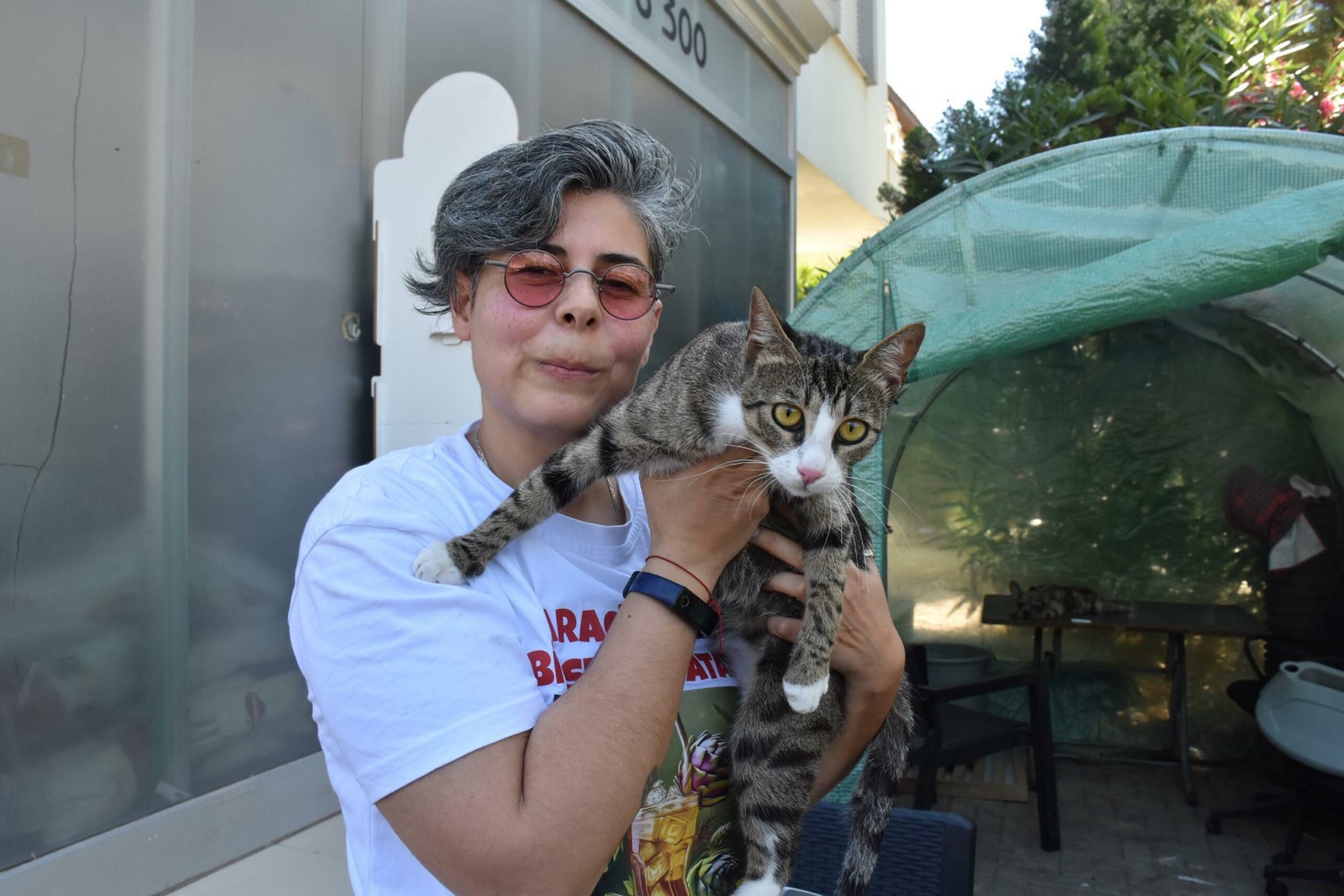 Erkek Sanılan Kedi Nasıl Doğum Yaptı? Veterinerden 6 Milyonda 1 Görülen Vaka Açıklaması